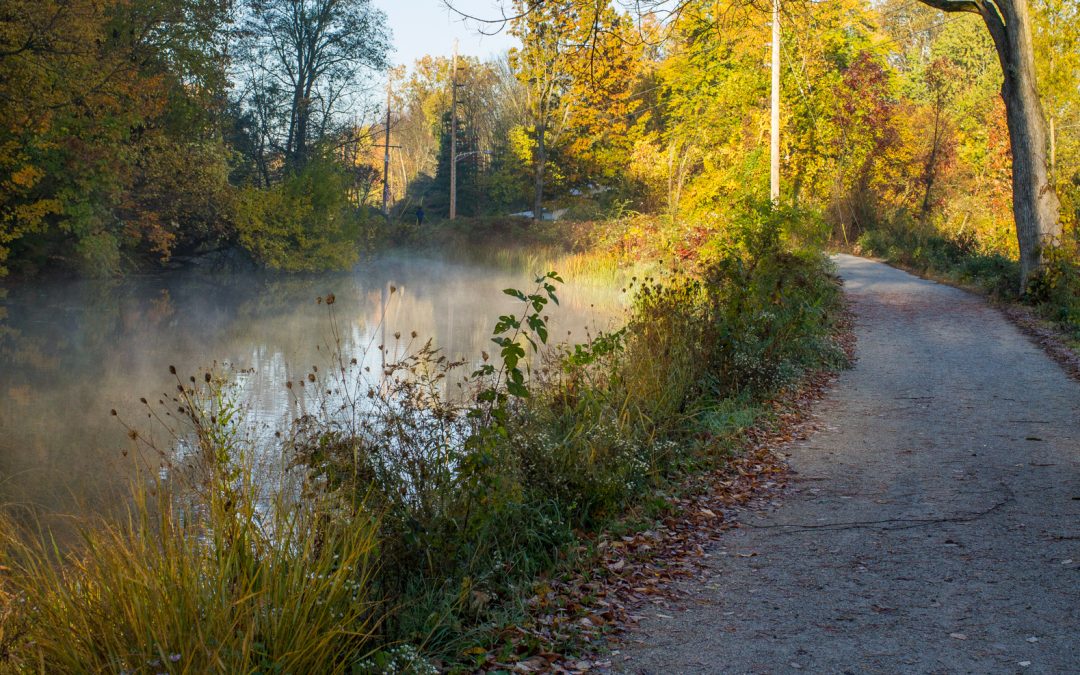 Goshen Environmental Perspectives Assessment