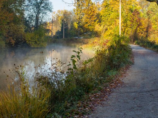 Goshen Environmental Perspectives Assessment