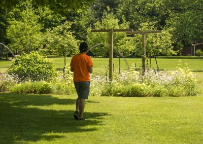 Tree Internships