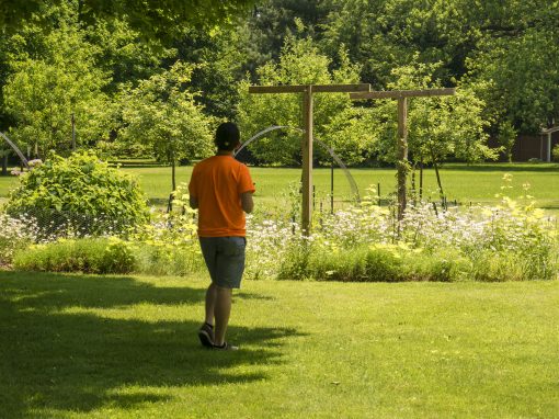 Tree Internships